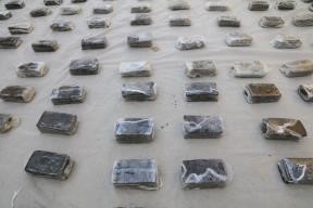 عصابة1 عصابة1