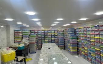 دماغات دماغات
