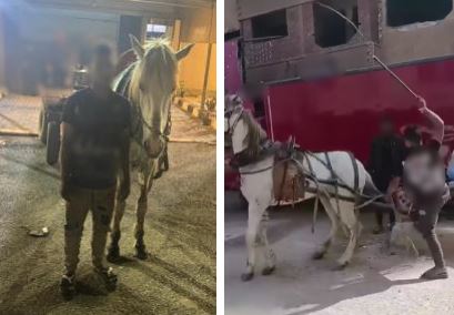 كرباج
