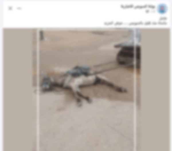 منشور منشور