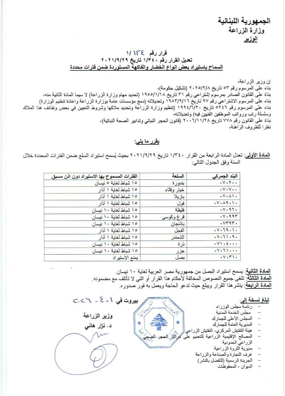 البصل البصل