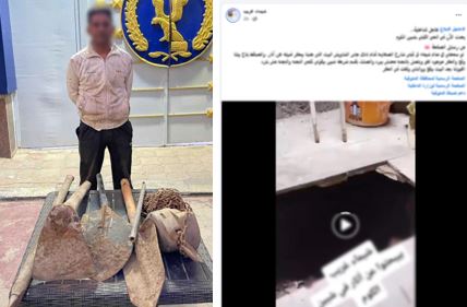 التنقيب