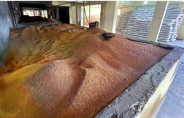 مصنع1