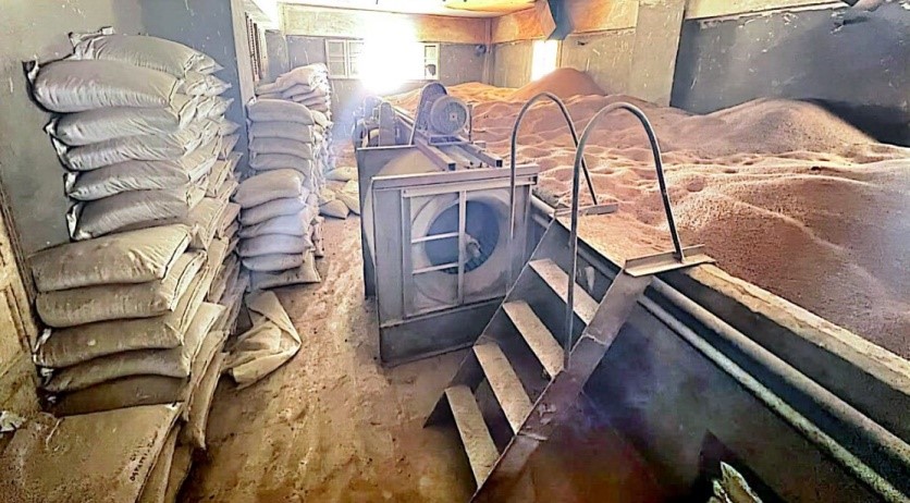 مصنع
