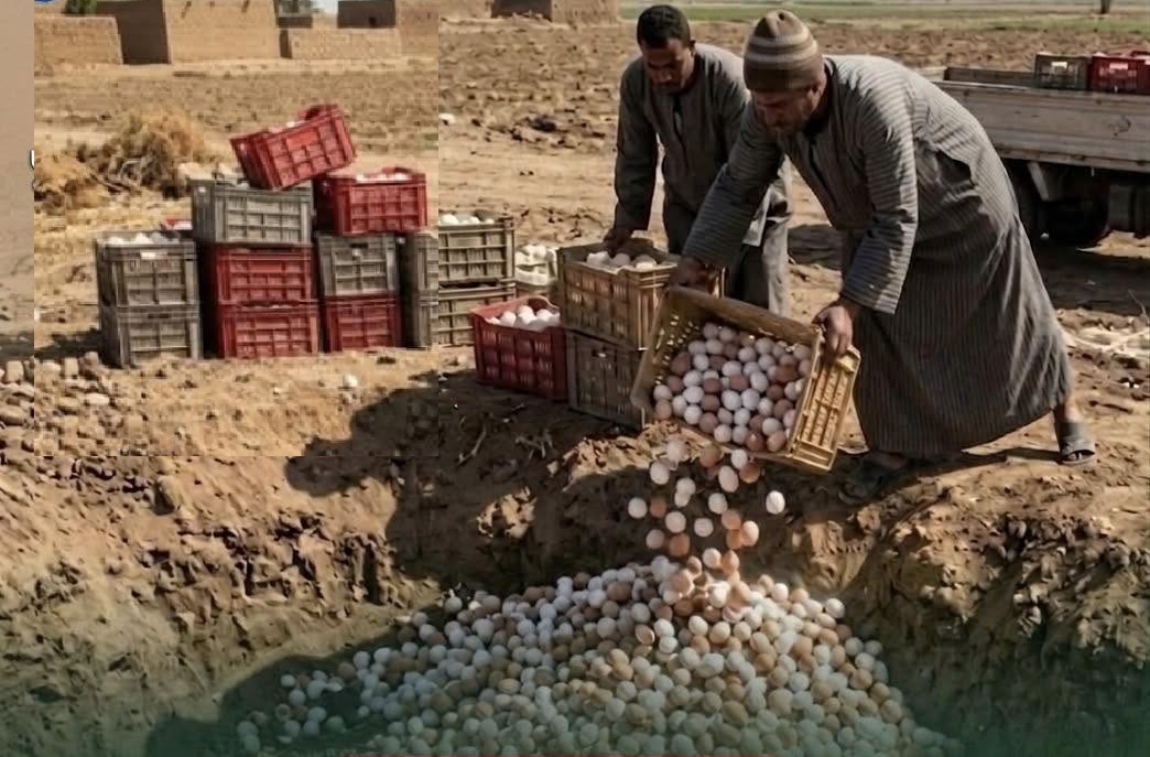 معدلة