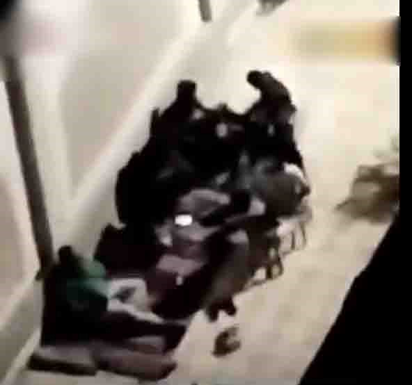 فيديو-