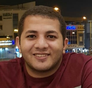 الحسينى حسن