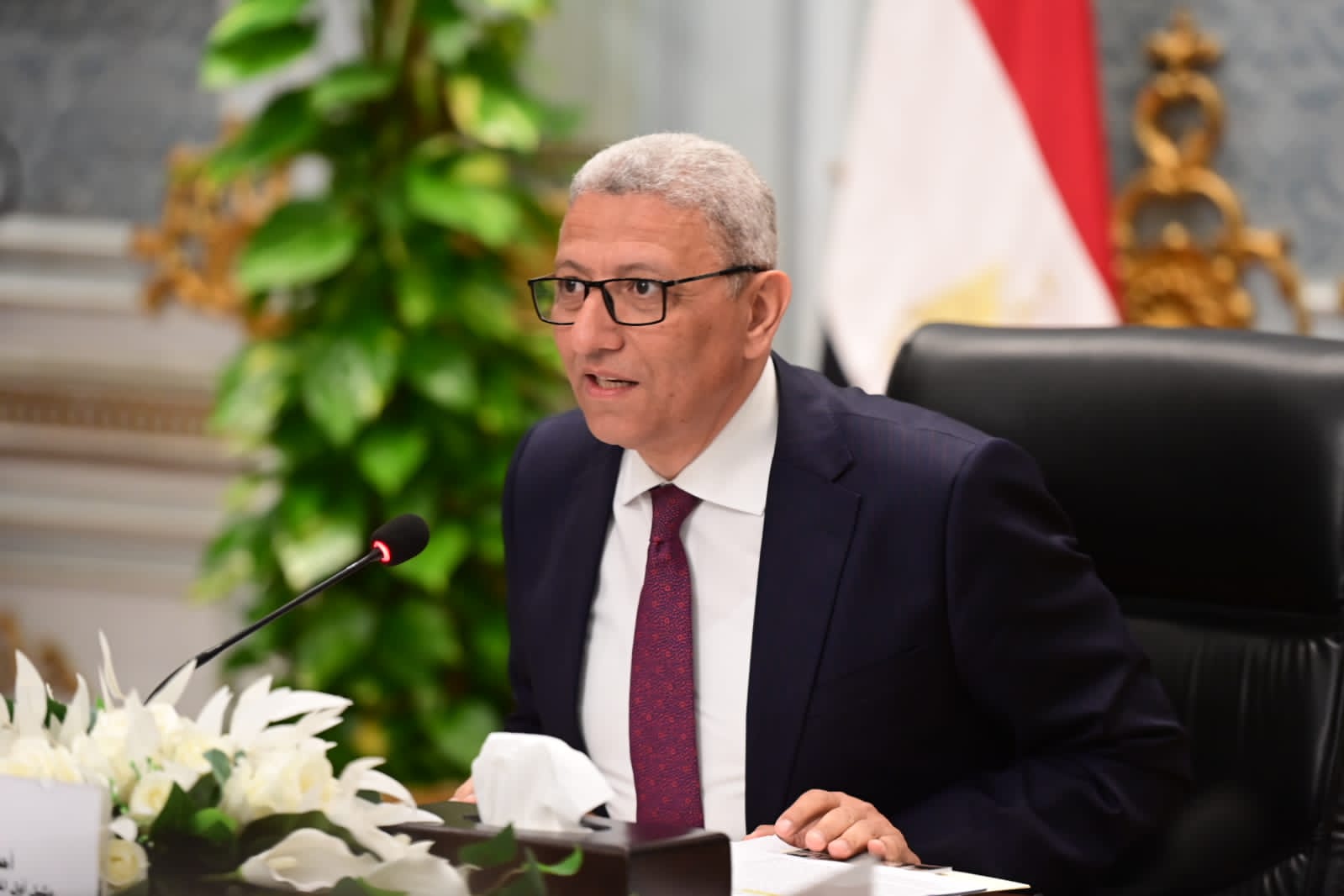 المستشار أحمد سعدالدين