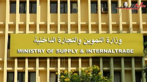 وزارة التموين والتجارة الداخلية