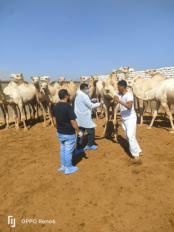 وزارة الزراعة