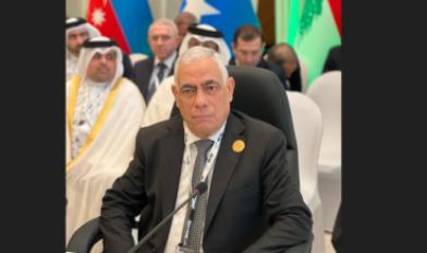 المستشار محمد شوقي