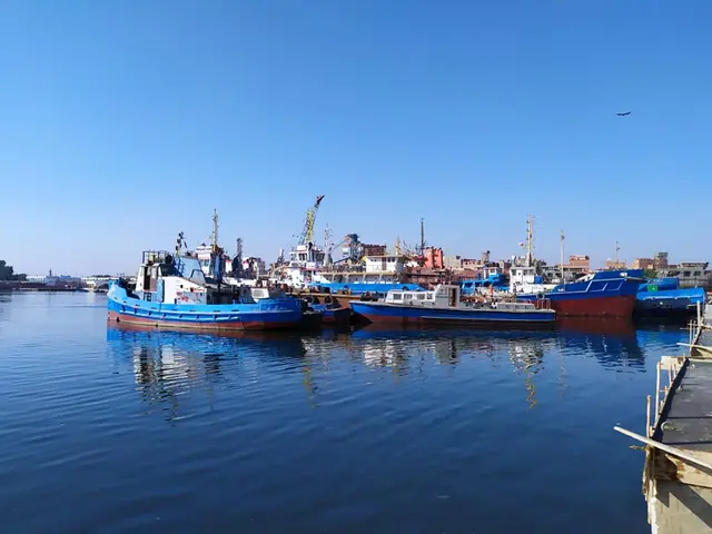 شركة التمساح لبناء السفن