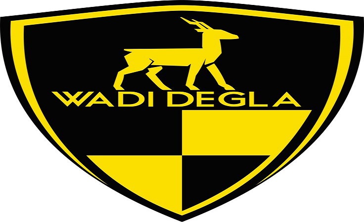 نادي وادي دجلة