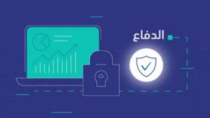 الأمن السيبراني