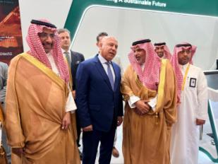 كامل الوزير