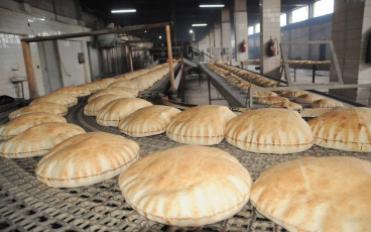 مطاحن جنوب القاهرة والجيزة
