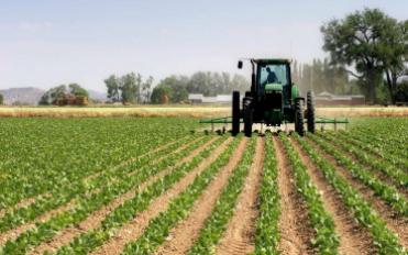 شمال الصعيد للتنمية والإنتاج الزراعي