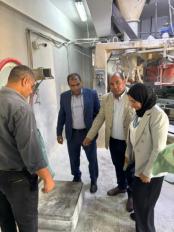 تموين القاهرة