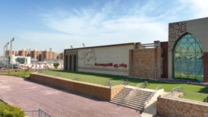 الفروسية