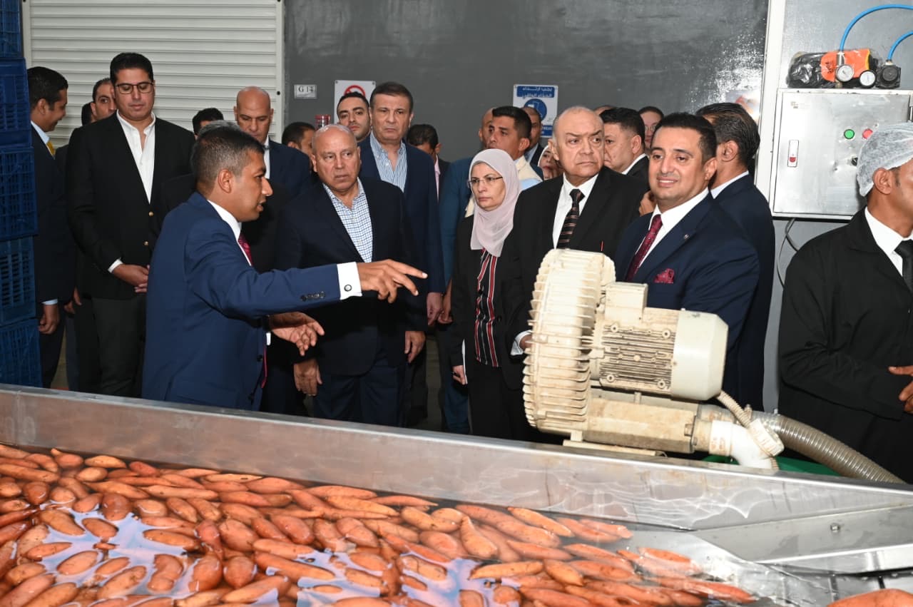 كامل الوزير