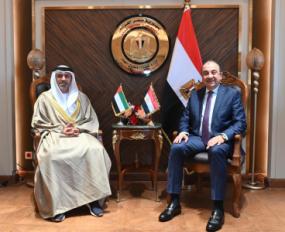 وزير قطاع الأعمال