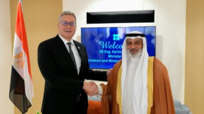 المهندس كريم بدوي