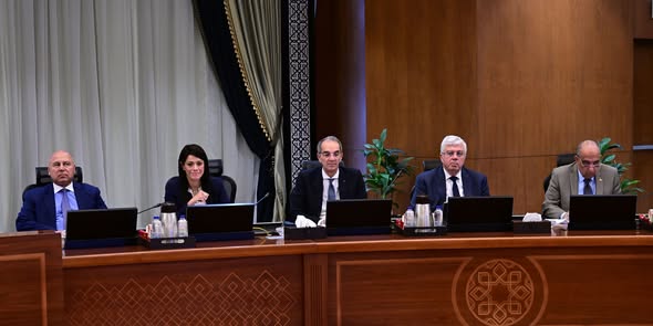 وزير التعليم العالي في مجلس الوزراء