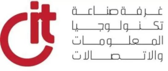 من بينهم" خليف"و" شبكة " و" عيسي"..12 عضوا يفوزون في انتخابات غرفة تكنولوجيا المعلومات