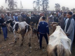 وزارة الزراعة