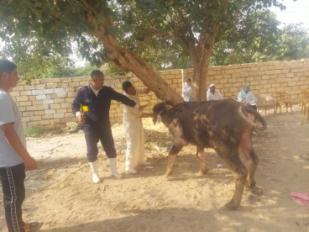 وزارة الزراعة