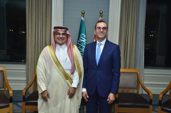 وزير الاستثمار