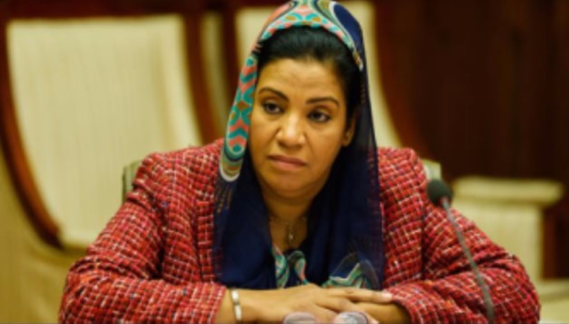 النائب نشوى الديب