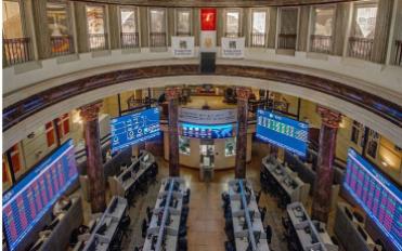 البورصة المصرية