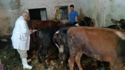 وزارة الزراعة