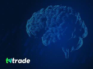 شركة T4Trade