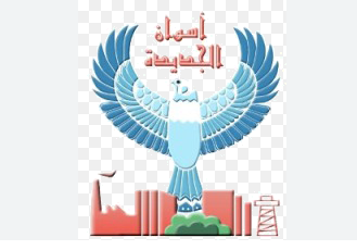 أسوان الجديدة