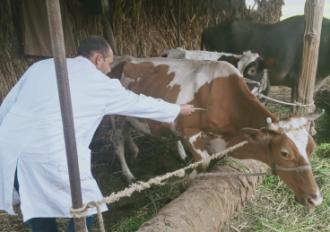وزارة الزراعة