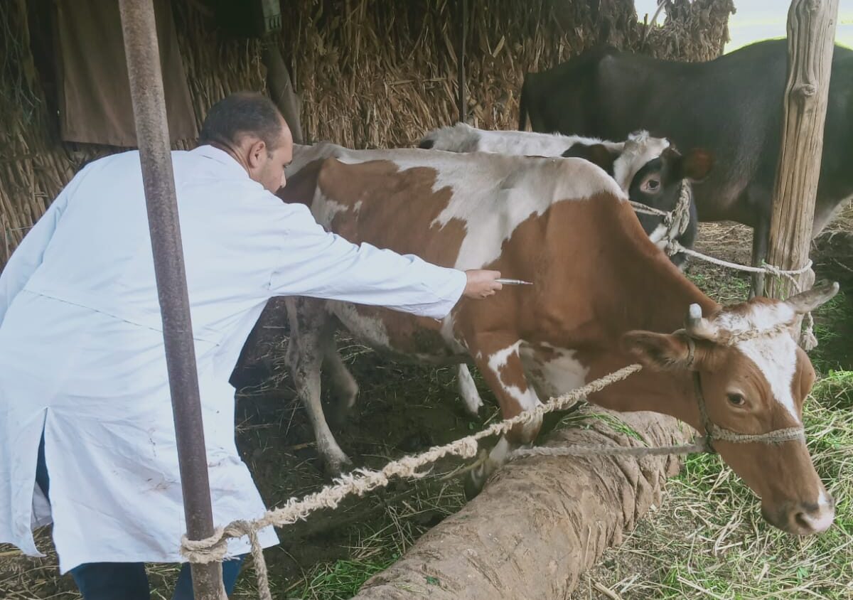 وزارة الزراعة