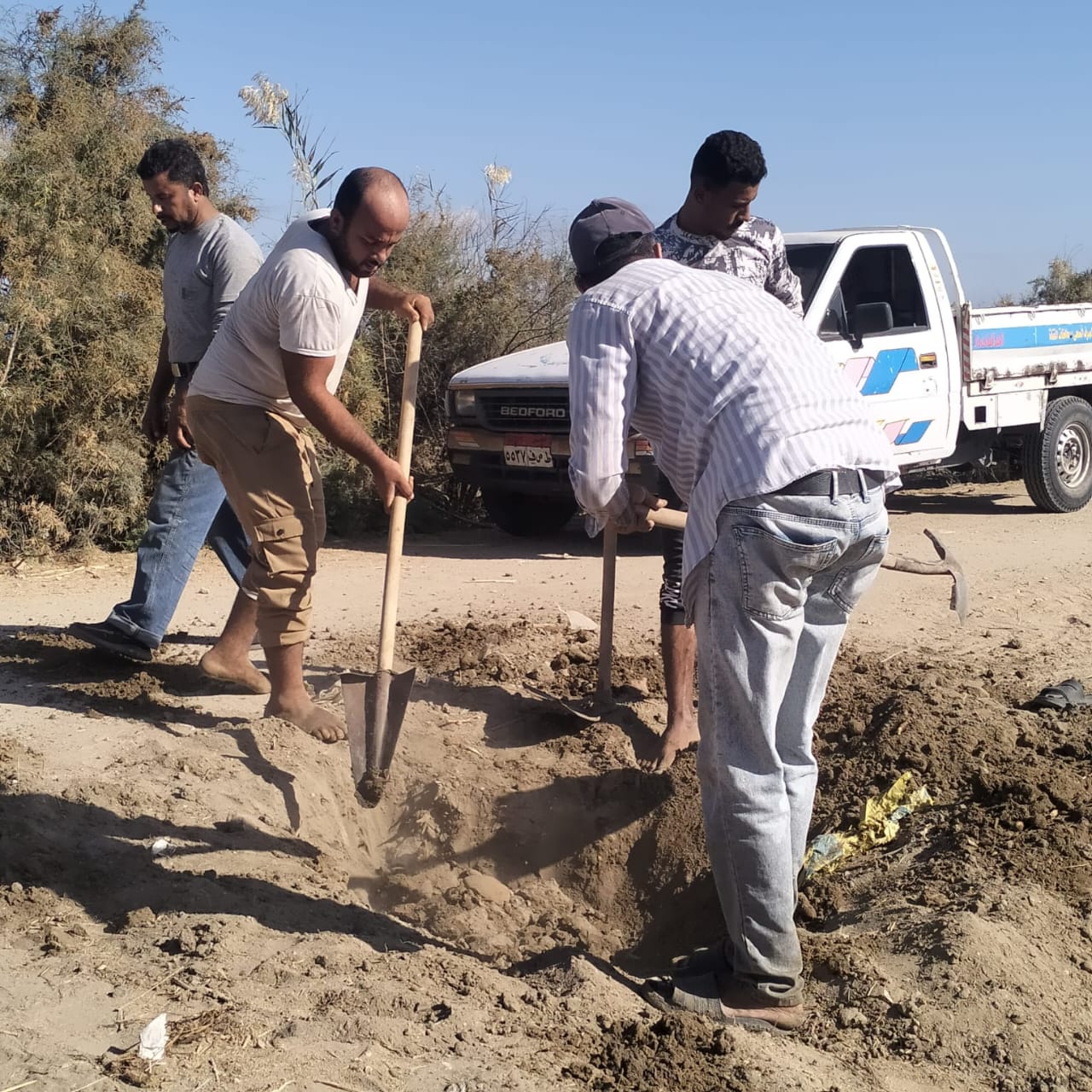 ستخراج جذور الأشجار من مواسير شبكات المياه المؤدية للقرية
