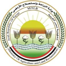 مشروع البتلو
