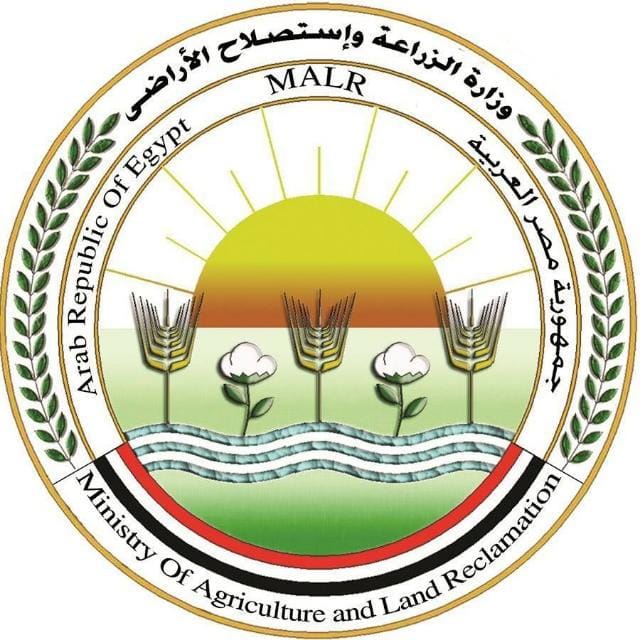 مشروع البتلو