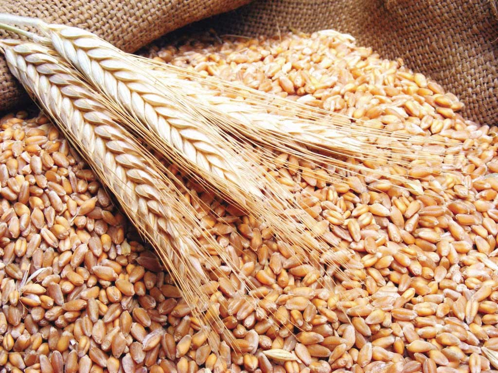 شركة الماسة جروب للصناعات الغذائية