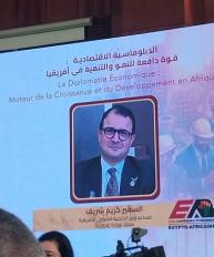 مساعد وزير الخارجية للشؤون الأفريقية