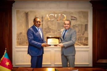 العاصمة الجديدة