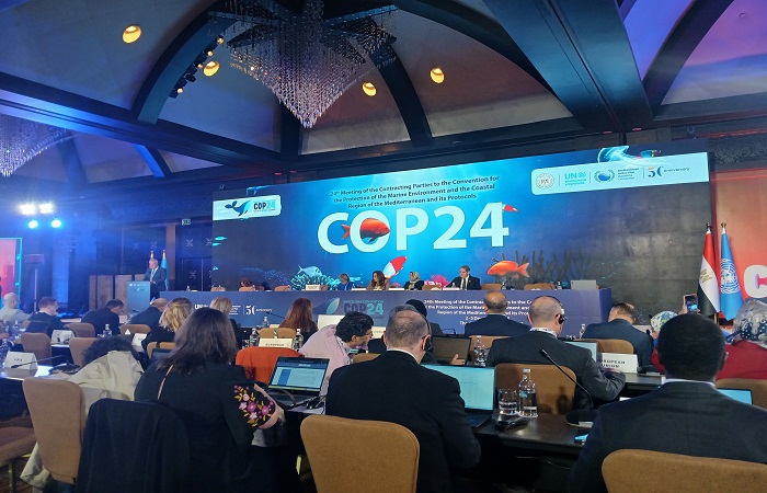 مؤتمر الأطراف (COP24)
