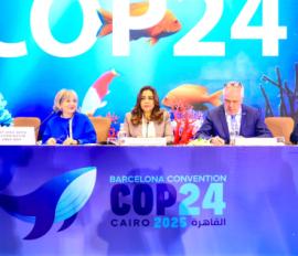 كوب 24