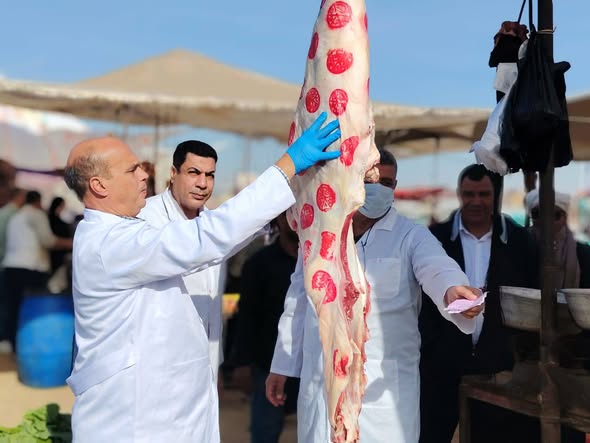 اللحوم أرشيفية 