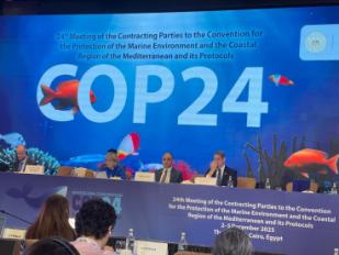 كوب ٢٤