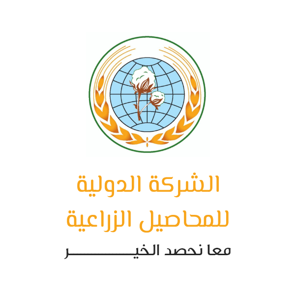 الدولية