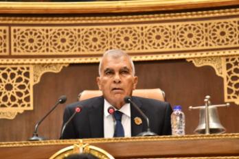 المستشار عصام فريد